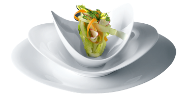 MODERN DINING